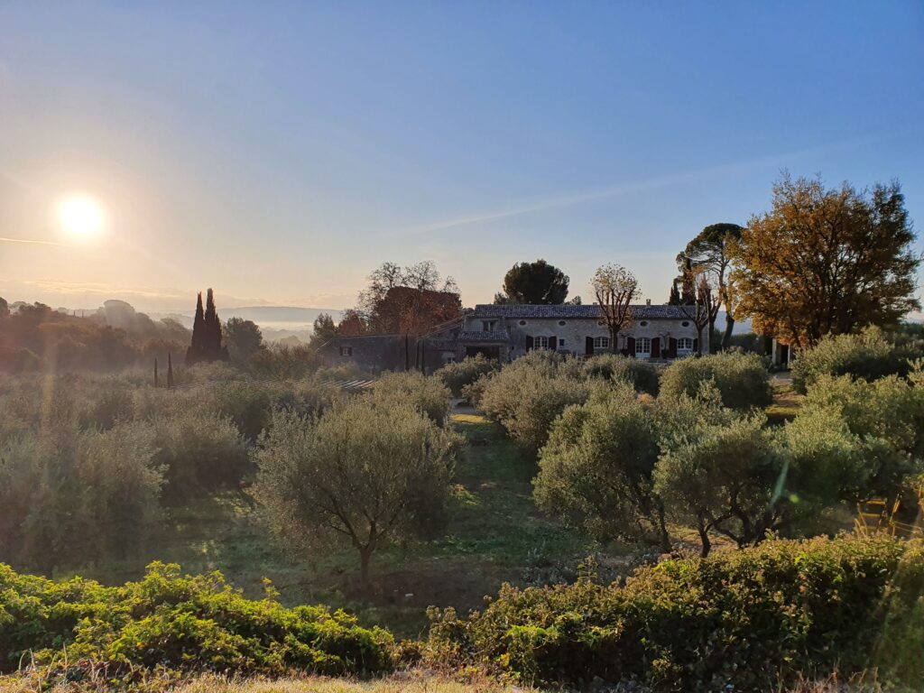 paysage domaine de la cavaliere luberon